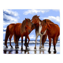 Horses Standing on Beach Poster