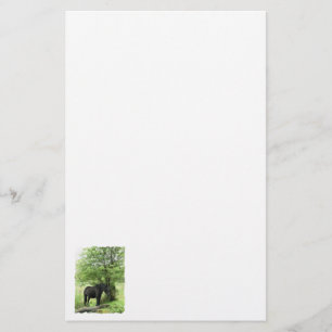 HORSES STATIONERY