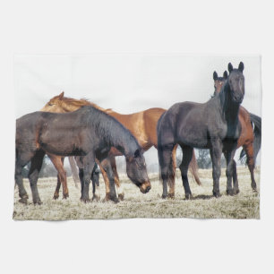HORSES TEA TOWEL