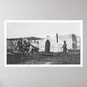 Horses Tent Anchorage 1916 Poster