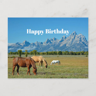 Horses Teton Mountains Landscape Photo Postcard
