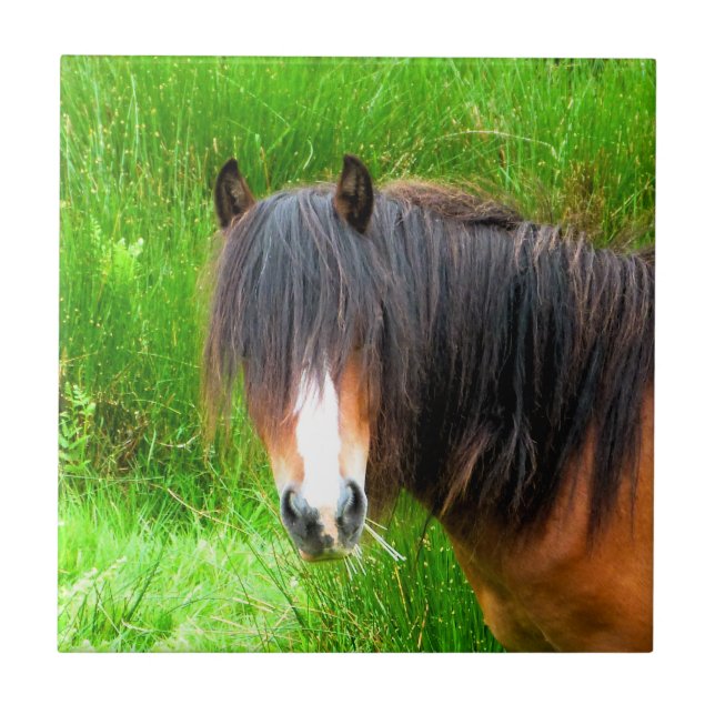 HORSES TILE (Front)