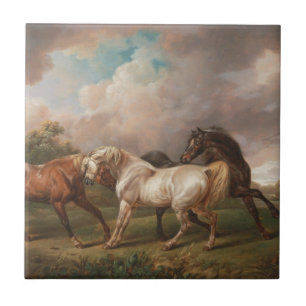 Horses Tile