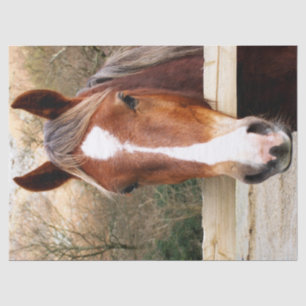 HORSES TISSUE PAPER