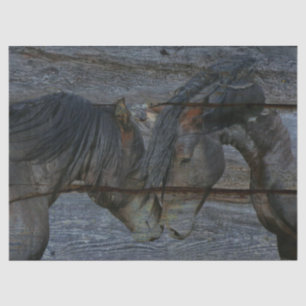 Horses Tissue Paper