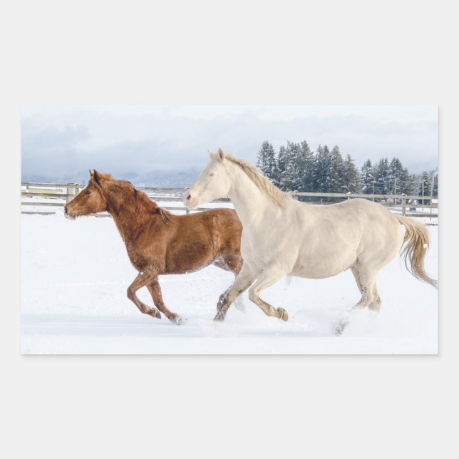 HORSES TOGETHER  RECTANGULAR STICKER (Front)