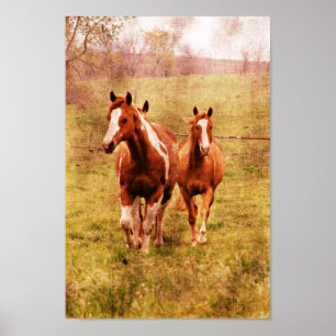 Horses Trotting Poster