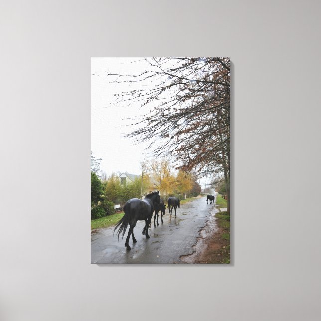 Horses walking down Oak Street in rain, Greyton, Canvas Print (Front)