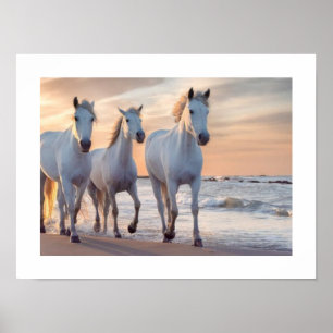 horses wall Decor