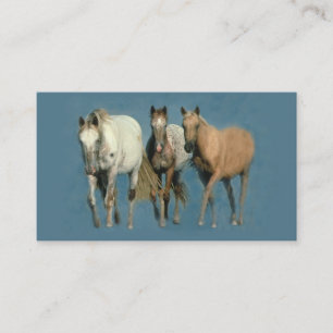 Horses Wild and Wonderful Business Card