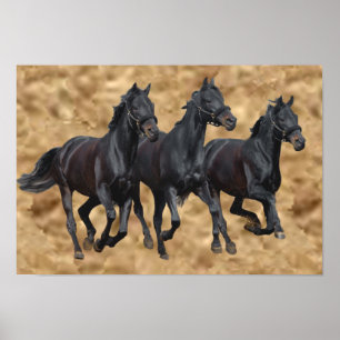 Horses Wild Print