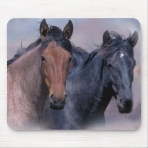 Horses Wild & Wonderful  Mousepad