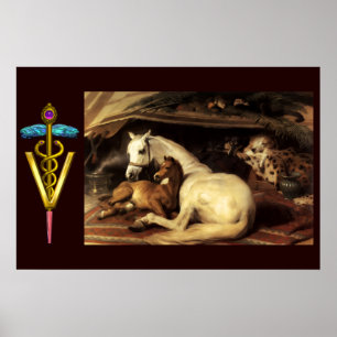 HORSES WITH GOLD CADUCEUS VETERINARY SYMBOL POSTER