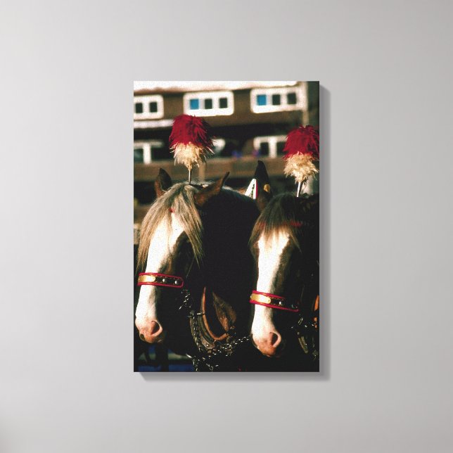 Horses with headdresses canvas print (Front)
