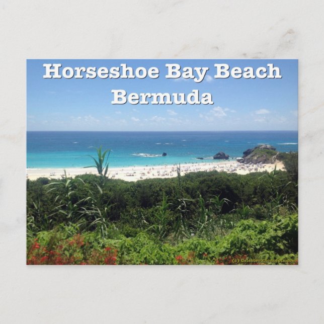 Horseshoe Bay Beach, Bermuda Postcard (Front)