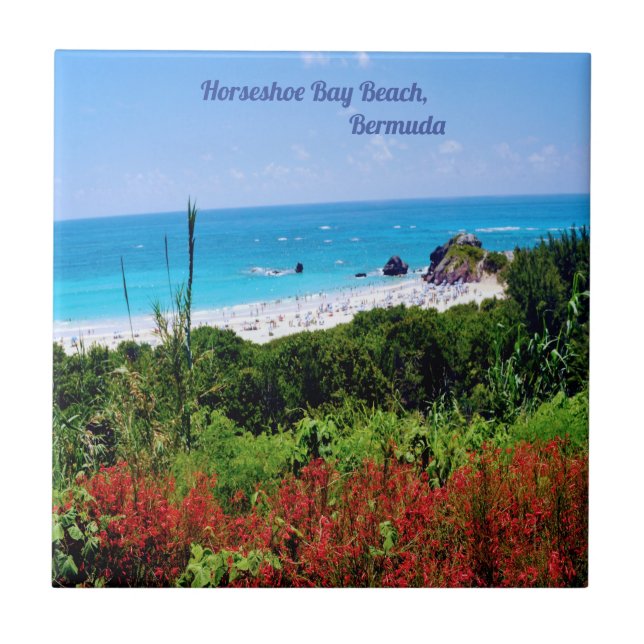Horseshoe, Bay Beach, Bermuda  Tile (Front)