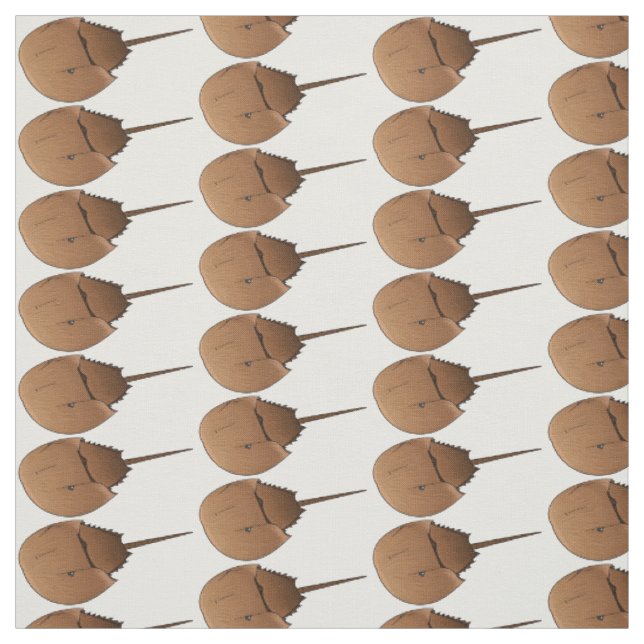 Horseshoe crab cartoon illustration fabric (Swatch)