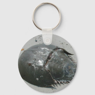 Horseshoe Crab Key Ring