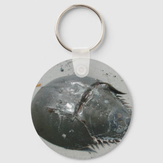 Horseshoe Crab Key Ring