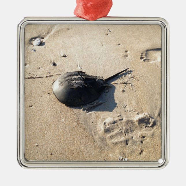 horseshoe crab metal tree decoration (Front)