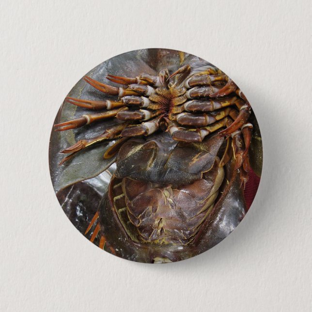 Horseshoe Crab ... Thai Asian Street Food 6 Cm Round Badge (Front)