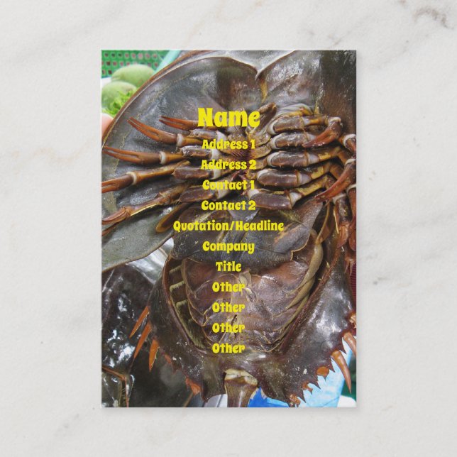 Horseshoe Crab ... Thai Asian Street Food Business Card (Front)