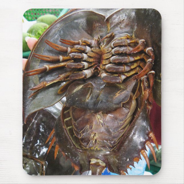 Horseshoe Crab ... Thai Asian Street Food Mouse Pad (Front)
