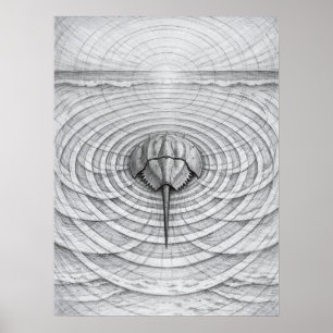 Horseshoe Crab Tidal Geometry Art Poster