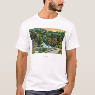 Horseshoe Curve View of Bastion Falls T-Shirt
