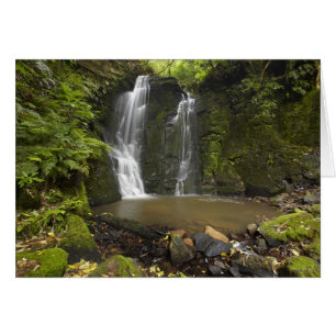 Horseshoe Falls, Matai Falls