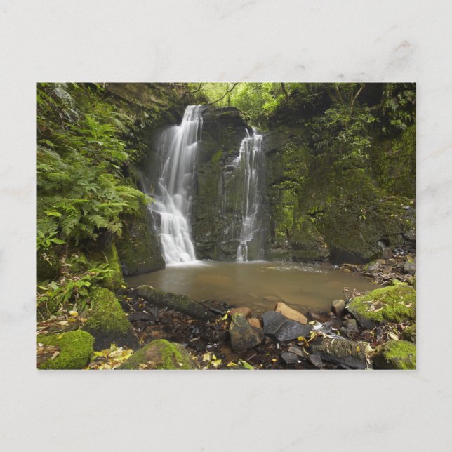 Horseshoe Falls, Matai Falls Postcard (Front)