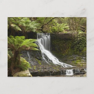 Horseshoe Falls, Mount Field National Park, Postcard