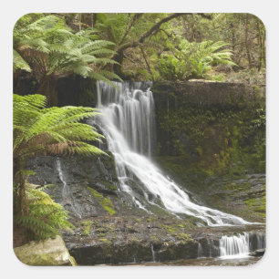 Horseshoe Falls, Mount Field National Park, Square Sticker