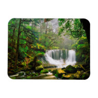 Horseshoe Falls Surrounded by Rainforest