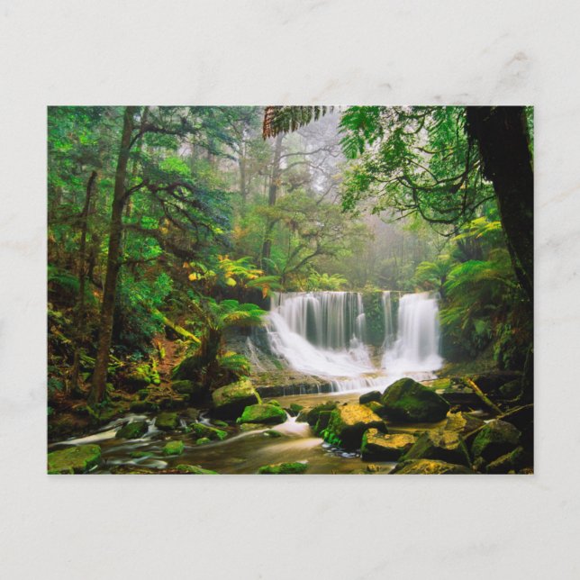 Horseshoe Falls Surrounded by Rainforest Postcard (Front)