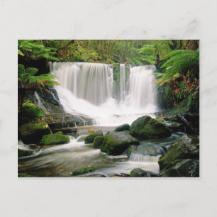 Horseshoe Falls Tasmania Australia Postcard