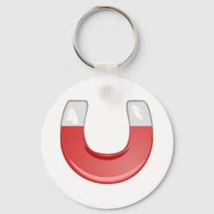 Horseshoe Magnet Key Ring