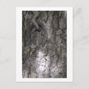 horseshoe postcard