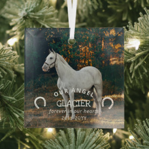 Horseshoes Our Angel Photo Horse Memorial Glass Tree Decoration