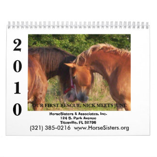 HORSESISTERS 2010 CALENDAR
