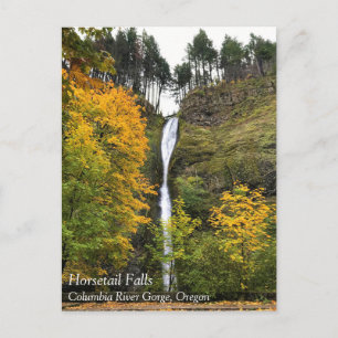 Horsetail Falls, Columbia River Gorge, Oregon Post Postcard