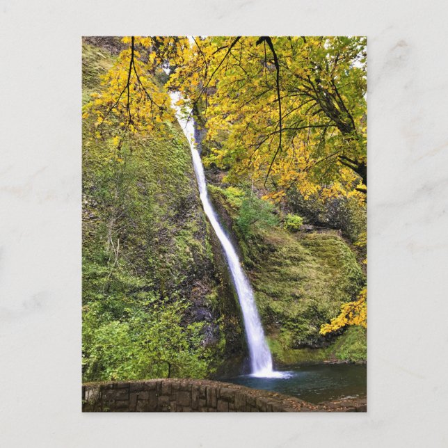 Horsetail Falls, Columbia River Gorge, Oregon Postcard (Front)