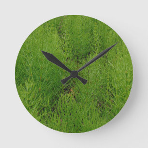 Horsetail Ferns Round Clock