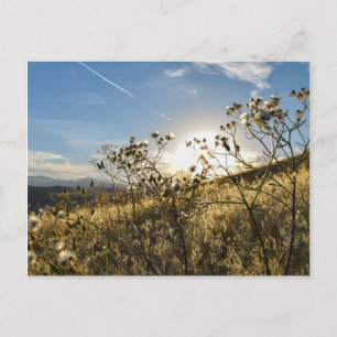 Horsetooth Reservoir Colorado Postcard