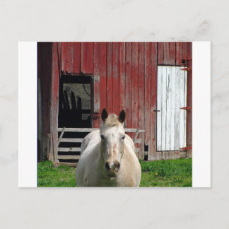 horsew-barn postcard