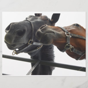 Horsing Around