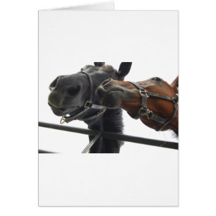 Horsing around