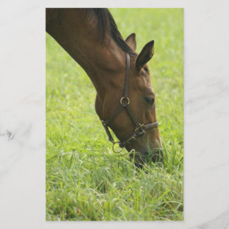Horsing Around