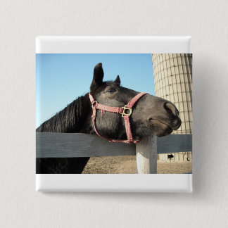 Horsing Around 15 Cm Square Badge