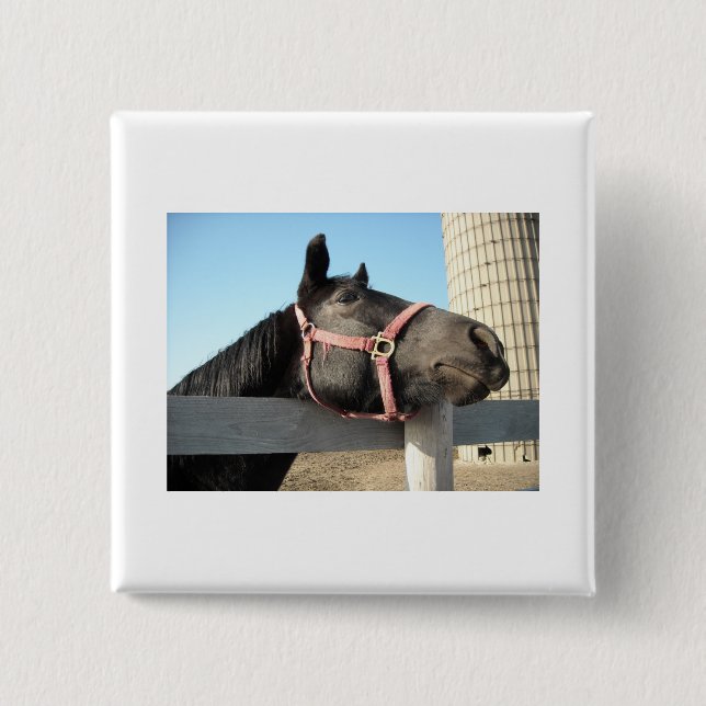 Horsing Around 15 Cm Square Badge (Front)
